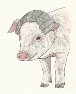 Pig in a powdered wig